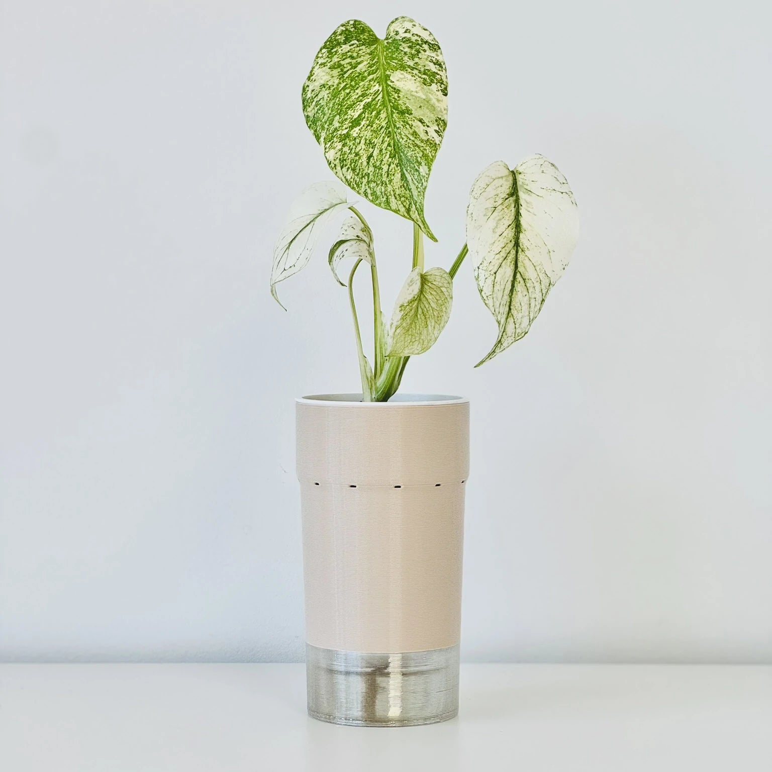 Self Watering Pot - Signature Kit