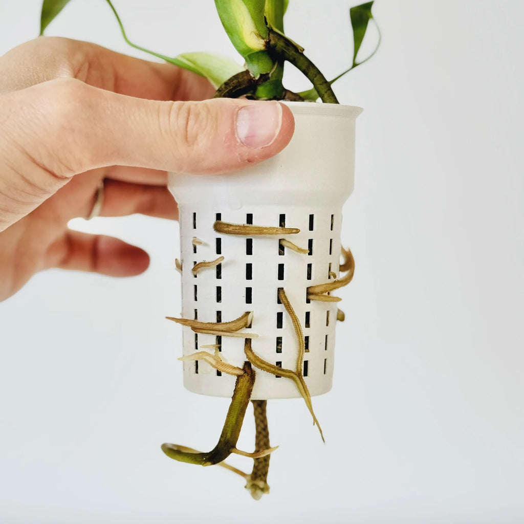 Inner Pot