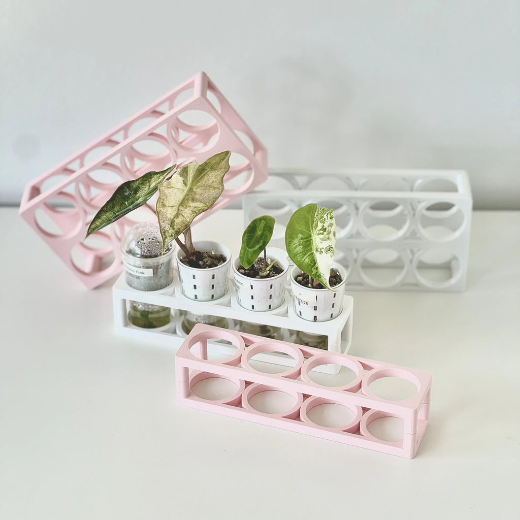 Compact Germination Organizer Tray
