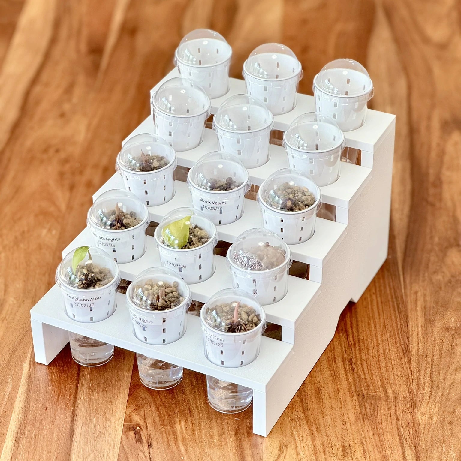 Mini Display Tray for IKEA Milsbo & Åkerbar