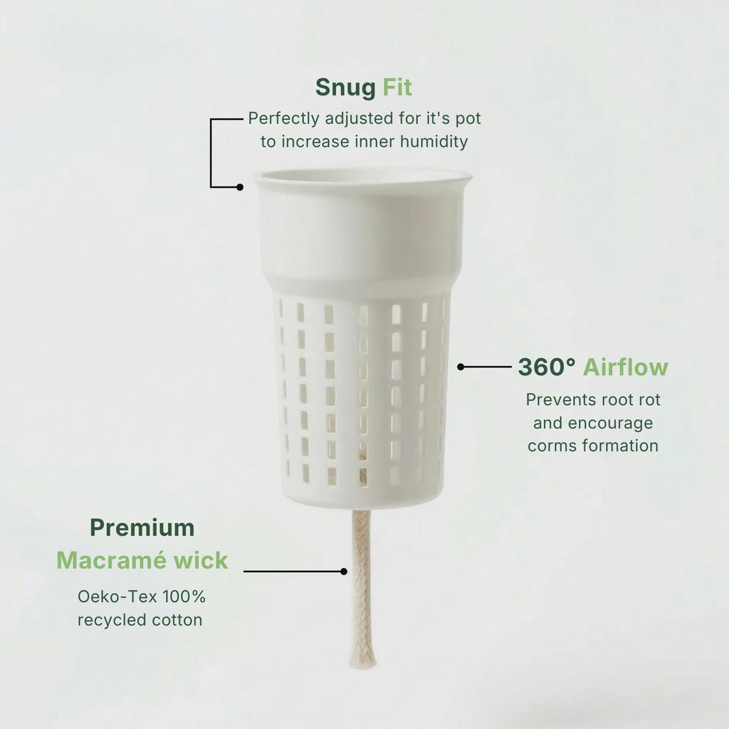 Self Watering Planter (8cm) with Inner Pot - Support-Free 3D Print File (3MF)
