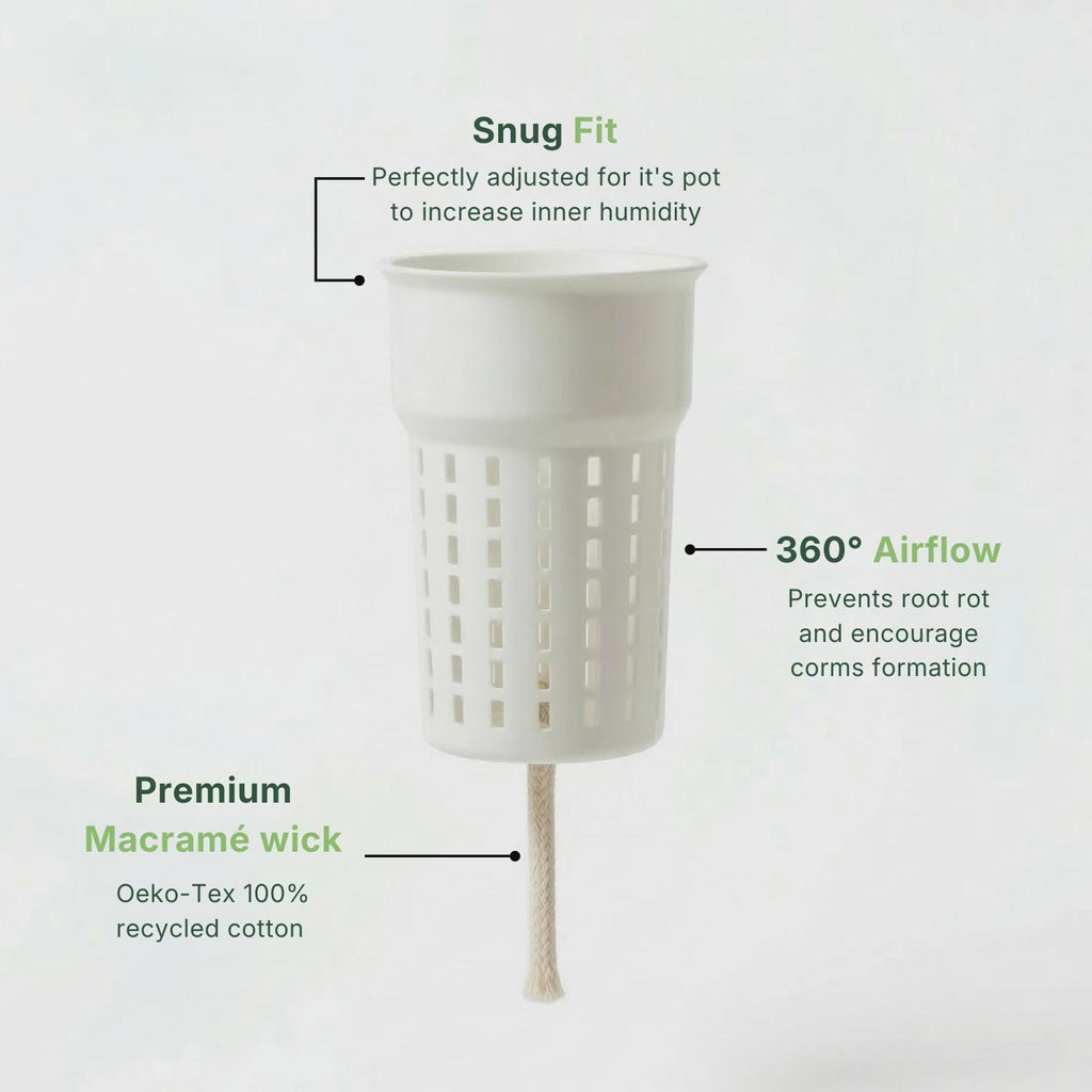 Self Watering Planter (6cm) with Inner Pot - Support-Free 3D Print File (3MF)