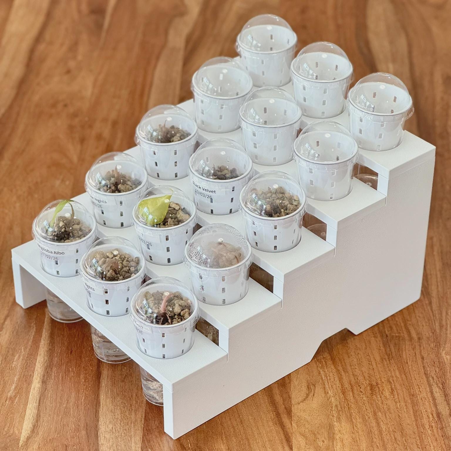 Mini Step Display Tray (5 levels for 15 pots) - Support-Free 3D Print File (3MF)
