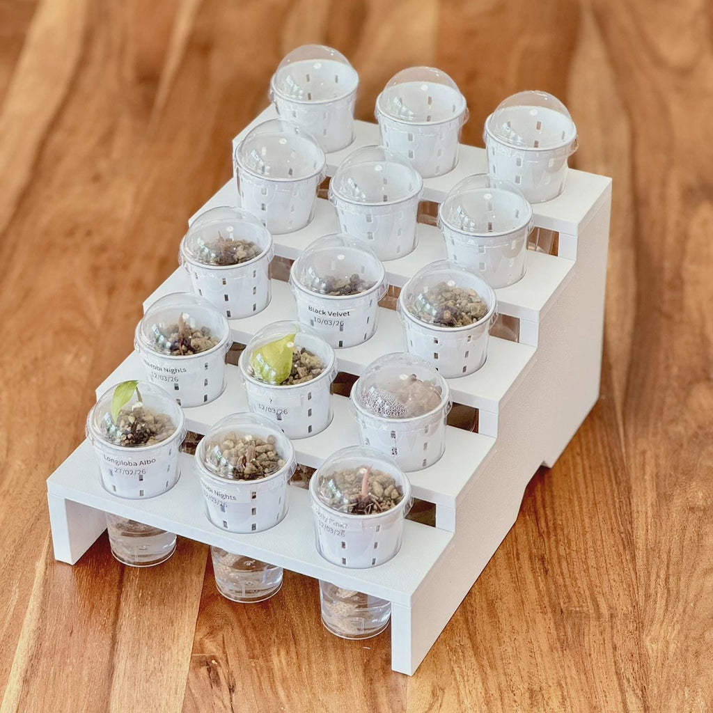 Mini Step Display Tray (5 levels for 15 pots) - Support-Free 3D Print File (3MF)