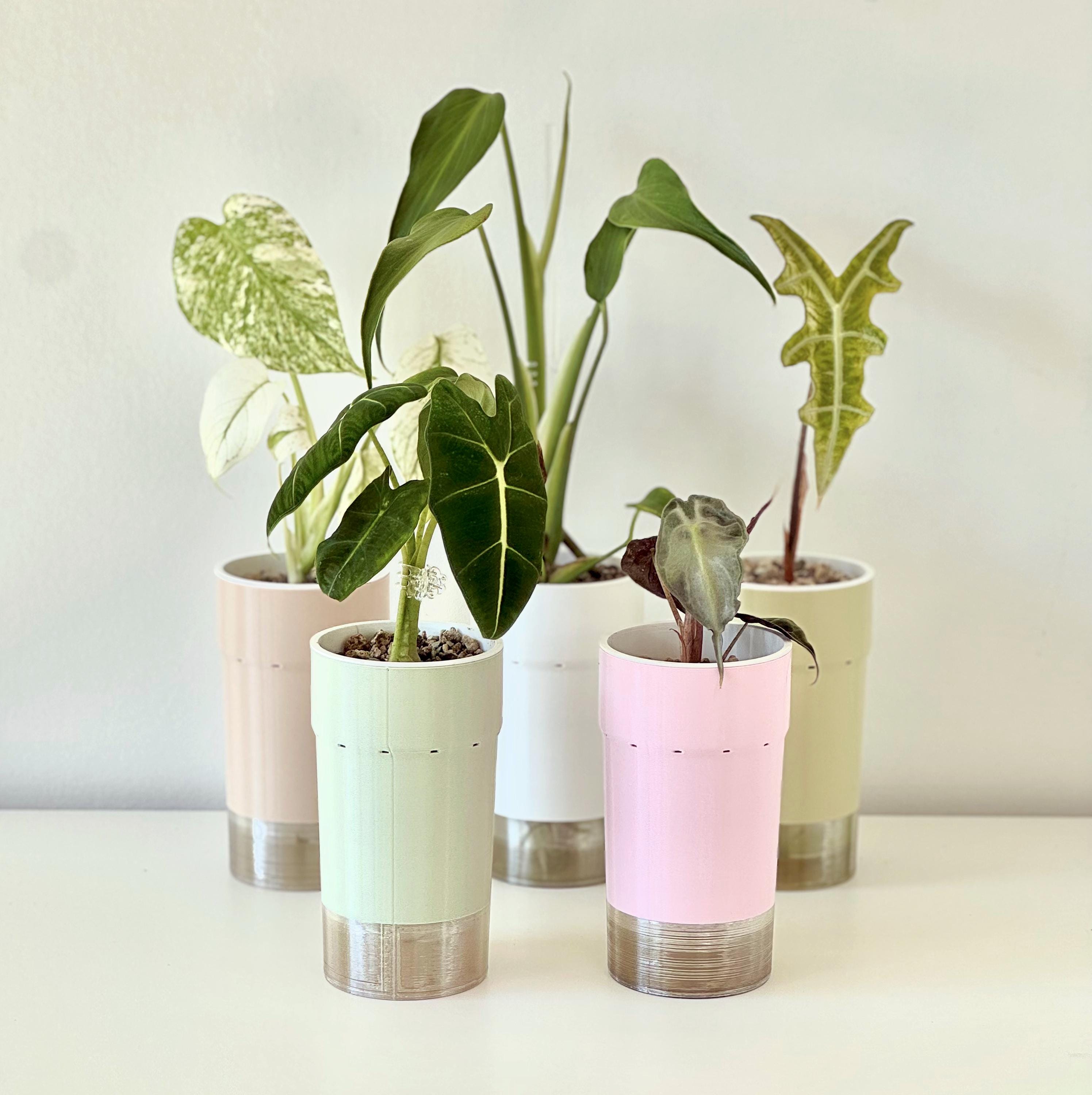 BUNDLE of Self Watering Planters (6-14cm) with Inner Pot - Support-Free 3D Print File (3MF)