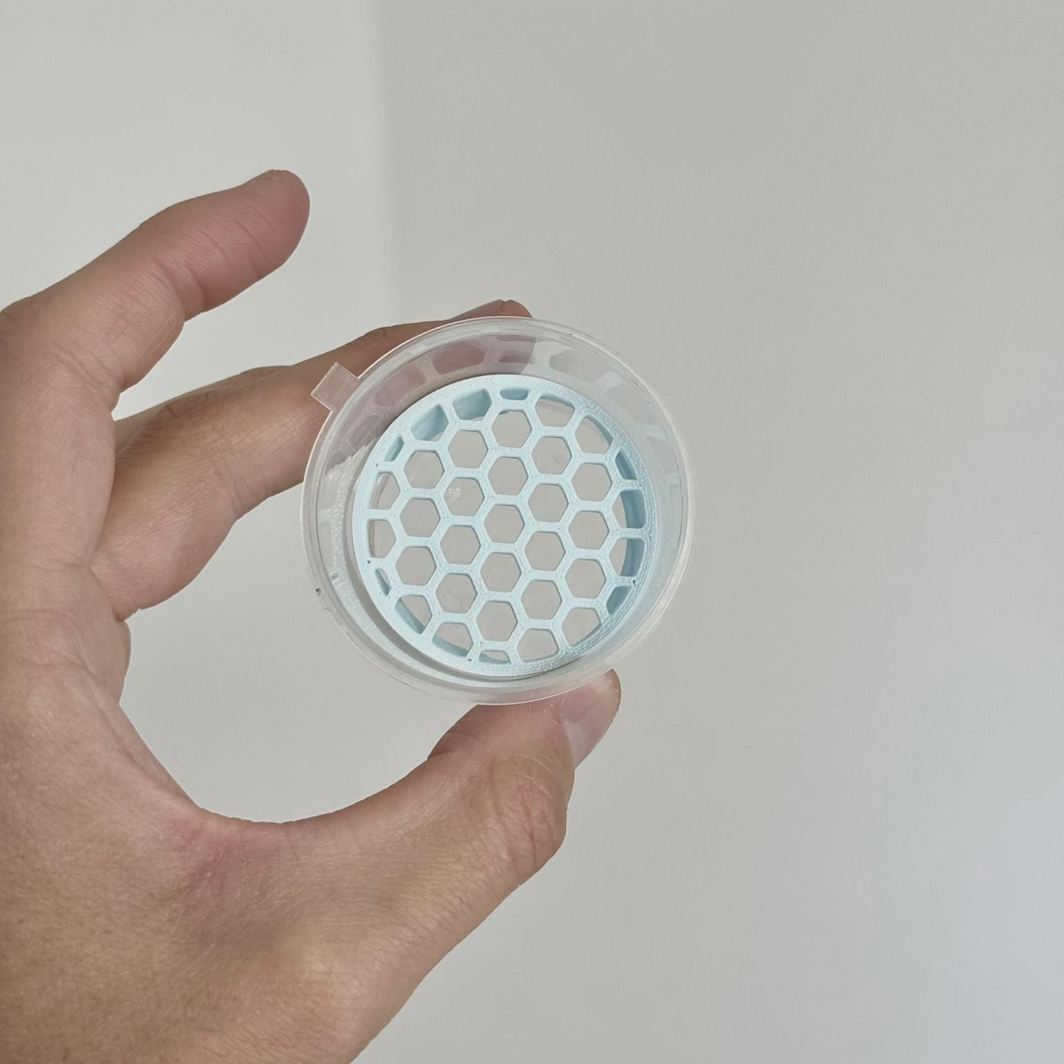 Anti-Rot Alocasia Corm Risers - Support-Free 3D Print File (3MF)