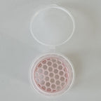 Anti-Rot Alocasia Corm Risers - Support-Free 3D Print File (3MF)