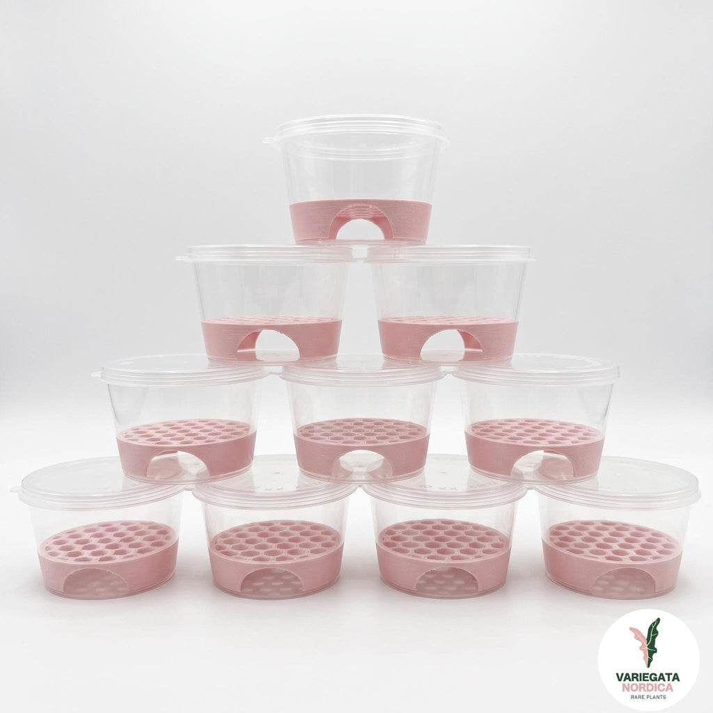 Anti-Rot Alocasia Corm Risers - Support-Free 3D Print File (3MF)