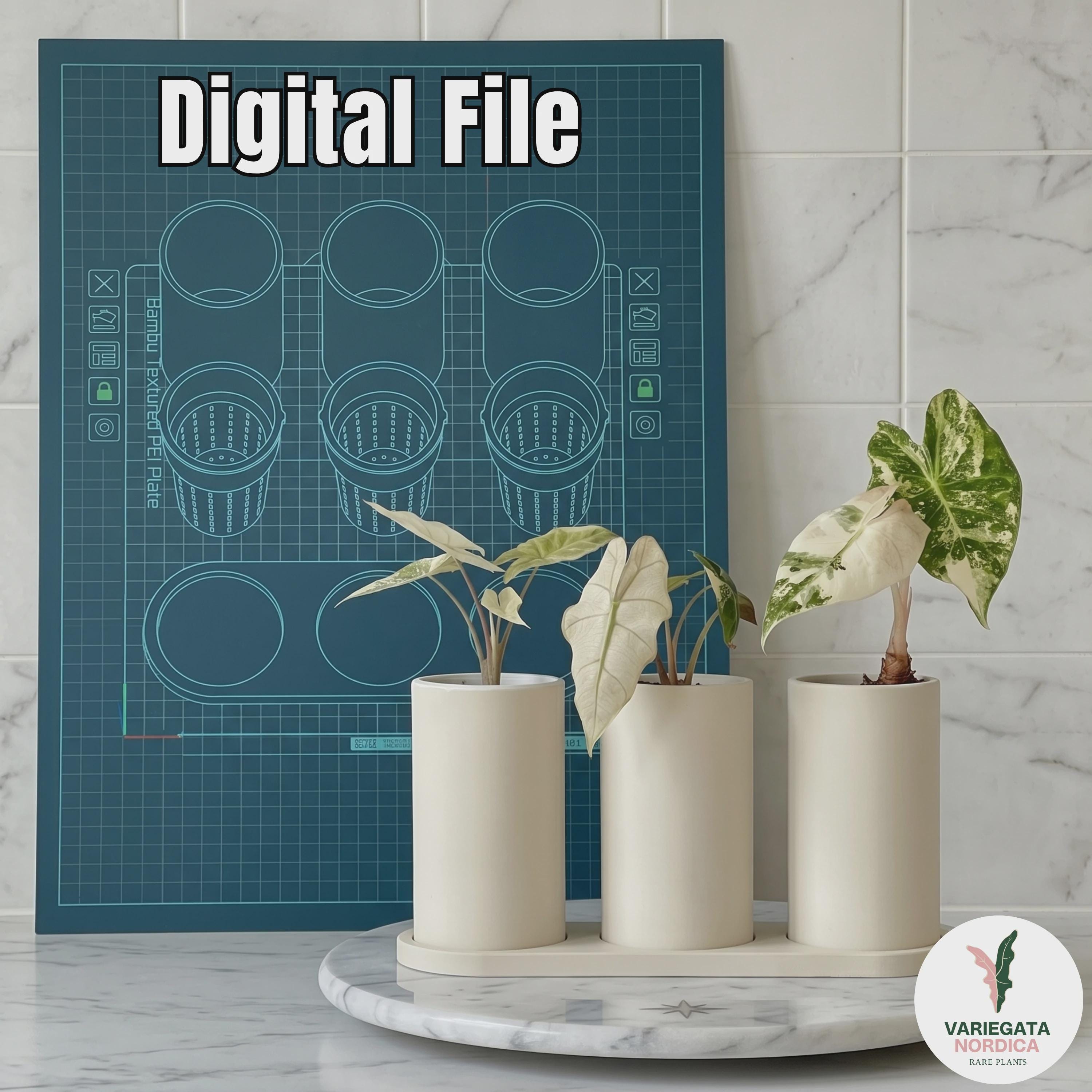Japandi Self Watering Planter Set • Minimalist 3D Printable Pots (Digital Download)