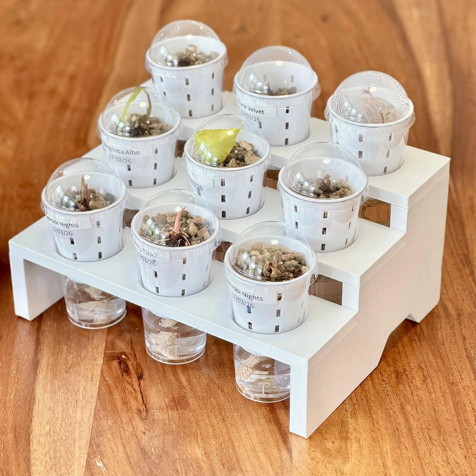 Propagation Tray for IKEA Milsbo & Åkerbar Greenhouse with 4.5cm self watering germination pots