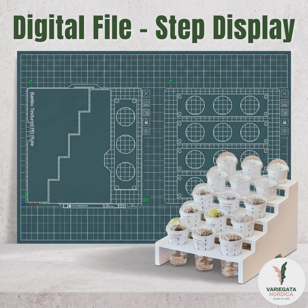Ultimate 3D Printing MEGA BUNDLE – All Digital Files (2026 Edition)