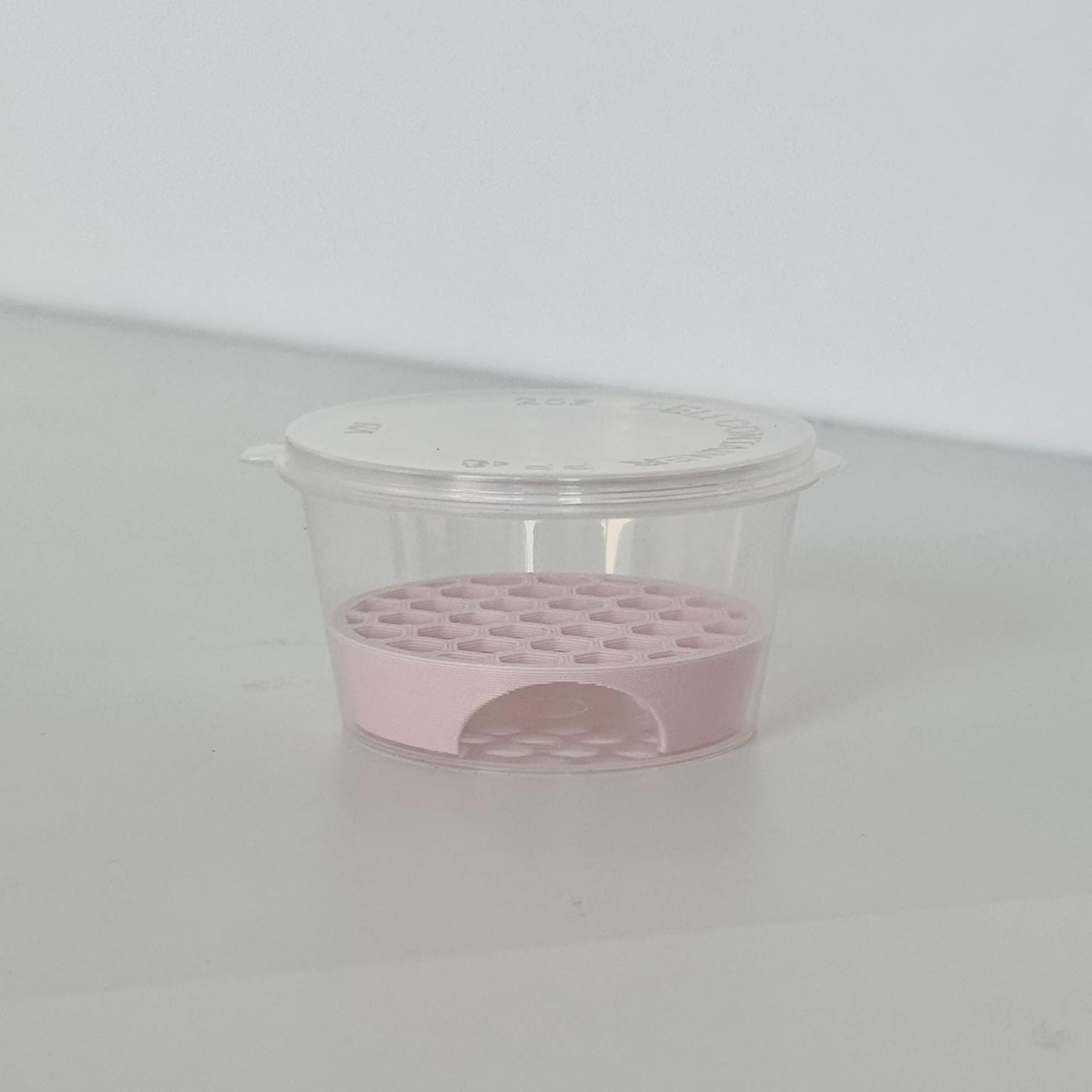 Anti-Rot Alocasia Corm Risers - Support-Free 3D Print File (3MF)