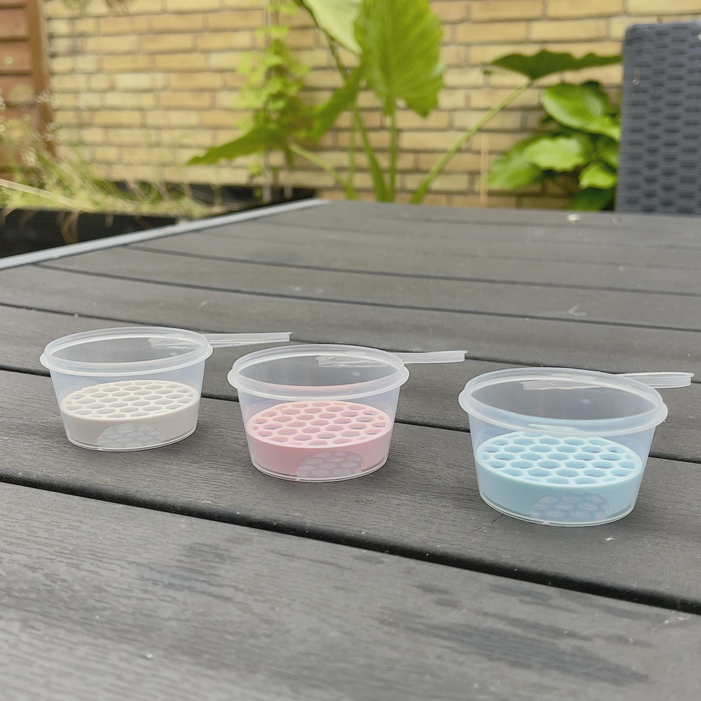 Anti-Rot Alocasia Corm Risers - Support-Free 3D Print File (3MF)