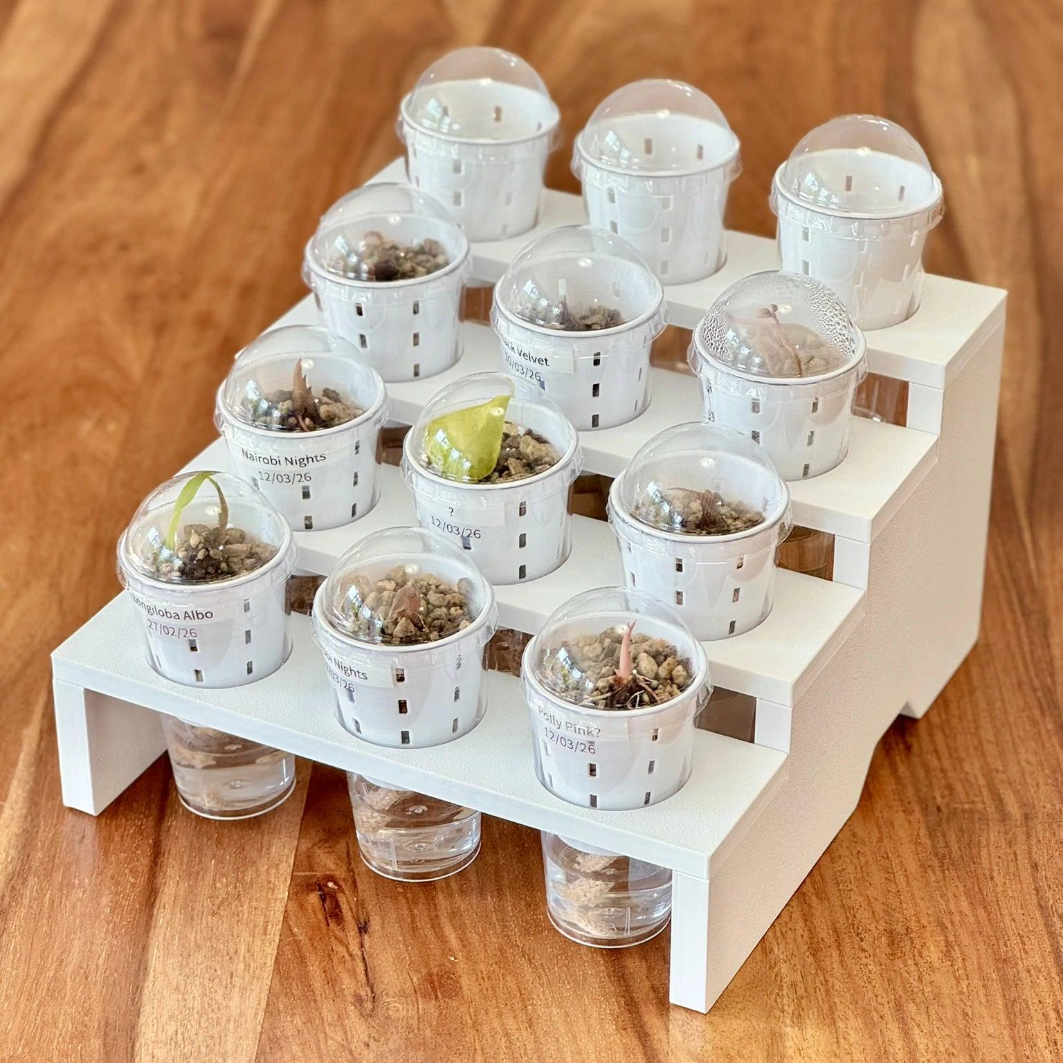 Propagation Tray for IKEA Milsbo & Åkerbar Greenhouse with 4.5cm self watering germination pots