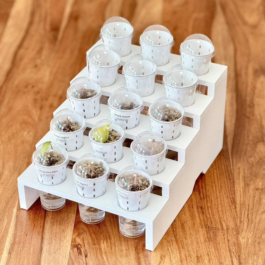 Propagation Tray for IKEA Milsbo & Åkerbar Greenhouse with 4.5cm self watering germination pots
