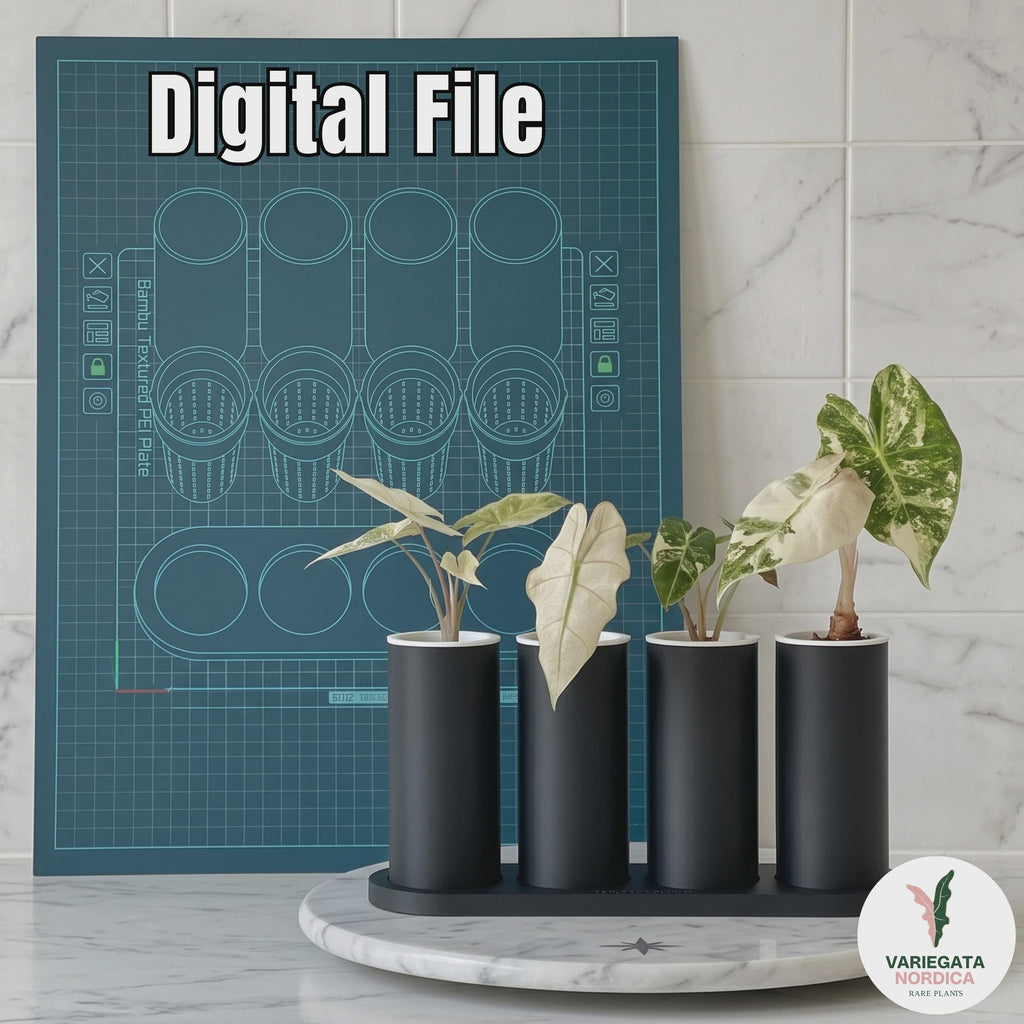 Ultimate 3D Printing MEGA BUNDLE – All Digital Files (2026 Edition)