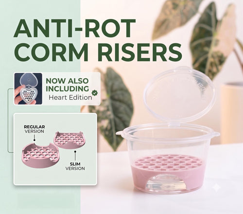 Anti-Rot Alocasia Corm Risers - Support-Free 3D Print File (3MF) __etsy:8361516657