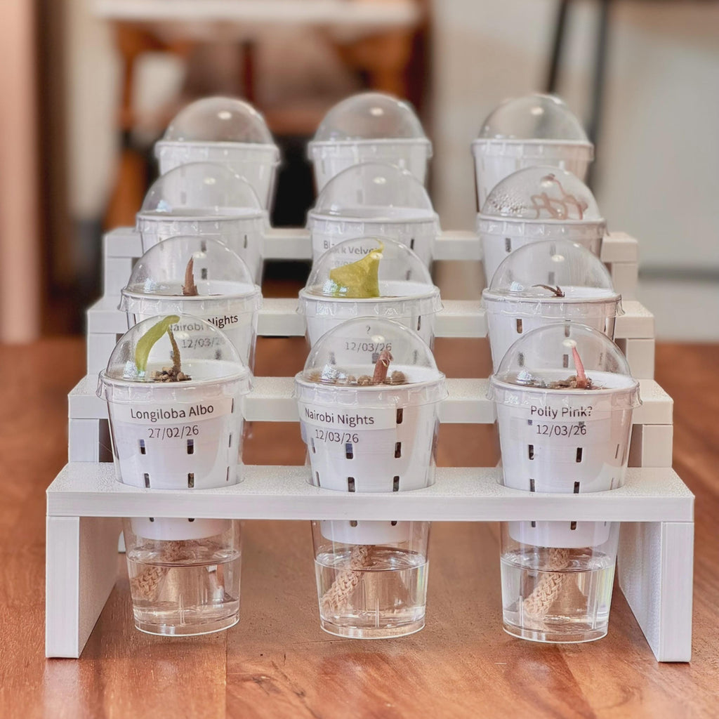4-Tier Plant Tray STL File: 12-Pot Display, Support-Free 3D Print (Digital Download)