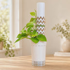 White modular 3D-printed moss pole filled with sphagnum moss, supporting a climbing neon pothos in a white self-watering planter with clear reservoir. Green plant tie and top drip cup shown in a warm, softly lit indoor setting.