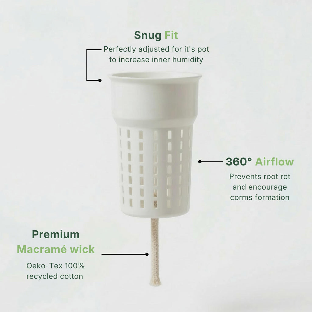 6cm/2.36in Self-Watering Pot STL & 3MF – Planter with Inner Pot, Digital Download