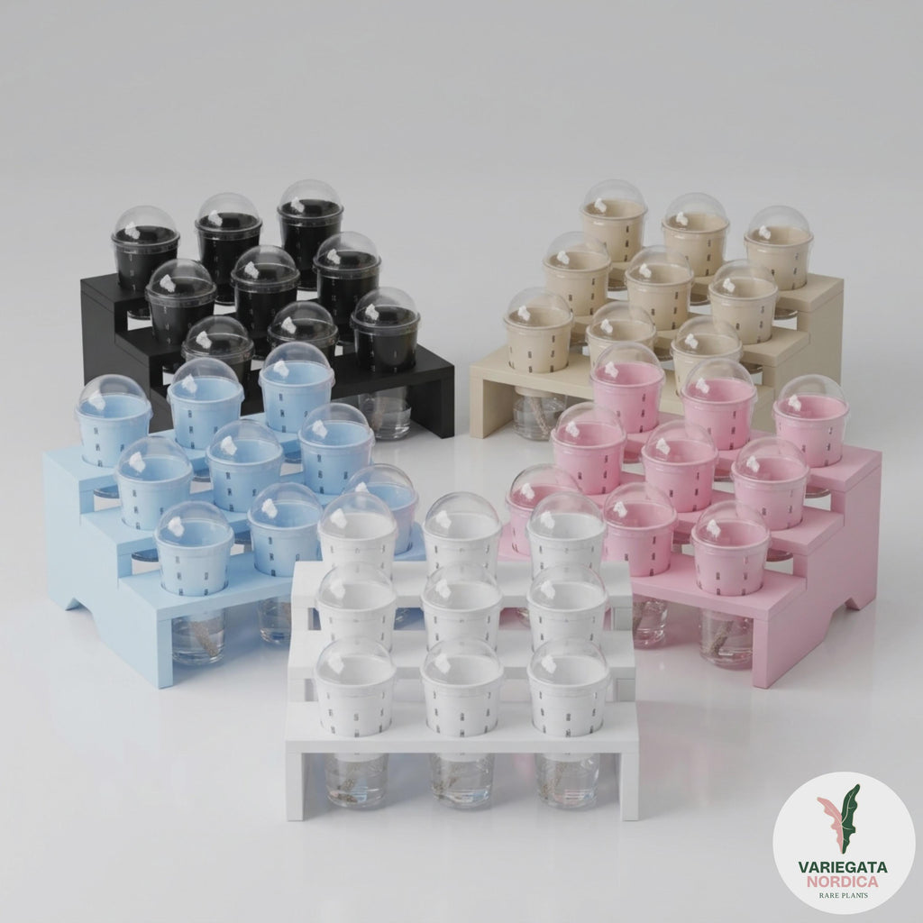 4-Tier Plant Tray STL File: 12-Pot Display, Support-Free 3D Print (Digital Download)