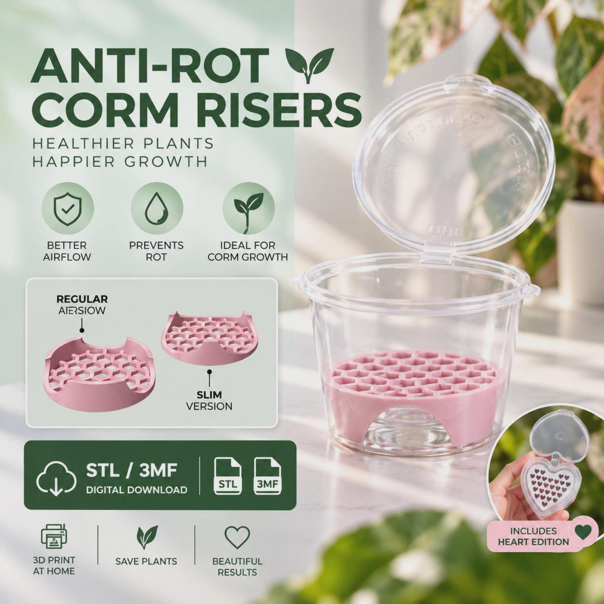 Anti-Rot Alocasia Corm Risers - Support-Free 3D Print File (3MF)