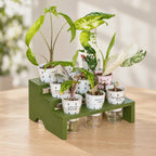 Dark green three-tier propagation tray holding nine clear self-watering cups with young variegated Alocasia plants. Slotted inner pots sit above visible water reservoirs and cotton wicks, displayed on pale wood in soft natural light.