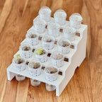White five-tier propagation stand holding 15 clear domed cups in ascending rows on a wooden surface. White slotted inner pots contain growing medium and small seedlings, with transparent reservoirs visible beneath the shelves.