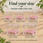 Five clear acrylic cubes with fitted pink corm risers. Arrows label outside widths: 3.3, 4.5, 5.5, 6 and 6.5 cm, with equivalent measurements in inches.