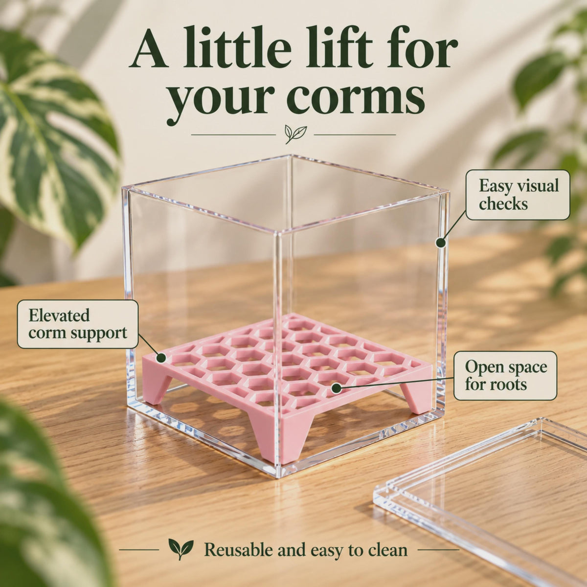 Pink square corm riser inside a clear cube, highlighting elevated support, space for roots and easy visual checks.