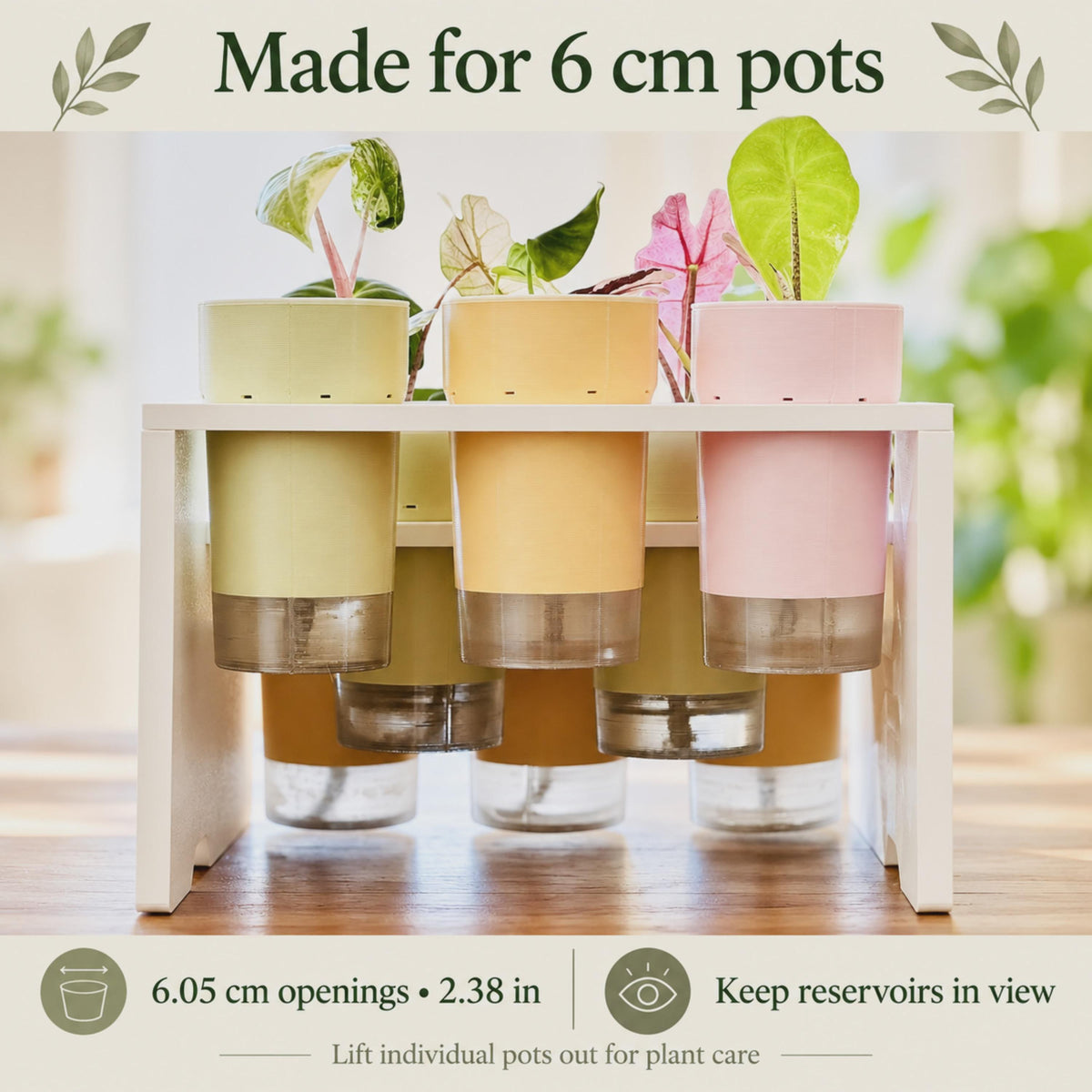 Front close-up of pastel self-watering pots seated through a white stepped plant stand. Their semi-clear reservoirs remain visible beneath the shelves. Variegated leaves rise above the pots. Text specifies 6.05 cm openings and easy removal for plant care.