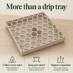 Beige drip tray with a removable honeycomb grid and water visible underneath. Three illustrated benefits explain how the tray collects excess water, keeps pots above standing water and allows evaporation through the open grid.