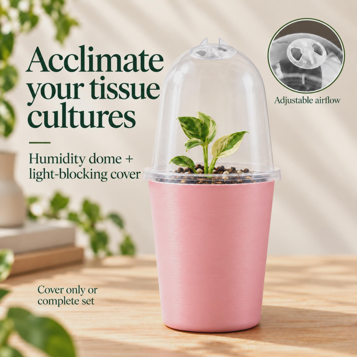 Tall pink outer pot with a clear humidity dome and adjustable vent, containing a small variegated plant. Text highlights tissue-culture acclimation and a light-blocking cover, available alone or as a complete set.