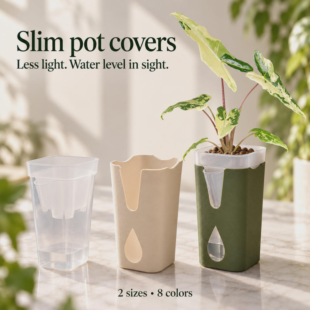Simpo albo in a dark green slim pot cover beside an empty beige cover and clear self-watering pot on marble.