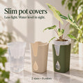 Simpo albo in a dark green slim pot cover beside an empty beige cover and clear self-watering pot on marble.