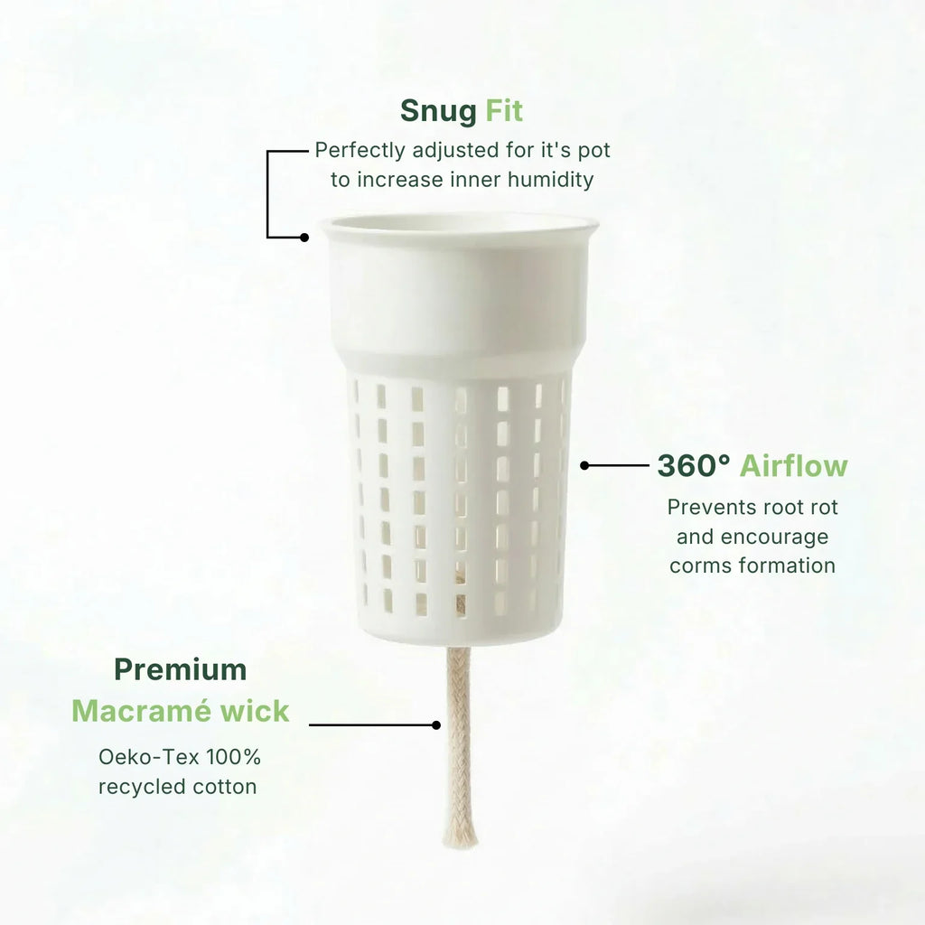 White 3D printed plant inner pot with premium macramé wick, slotted sides for airflow, and snug fit design