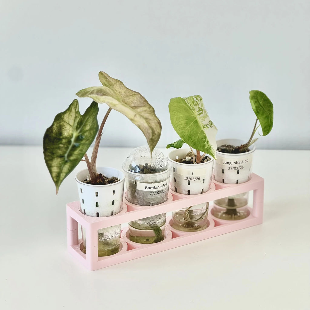 Compact Germination Organizer Tray