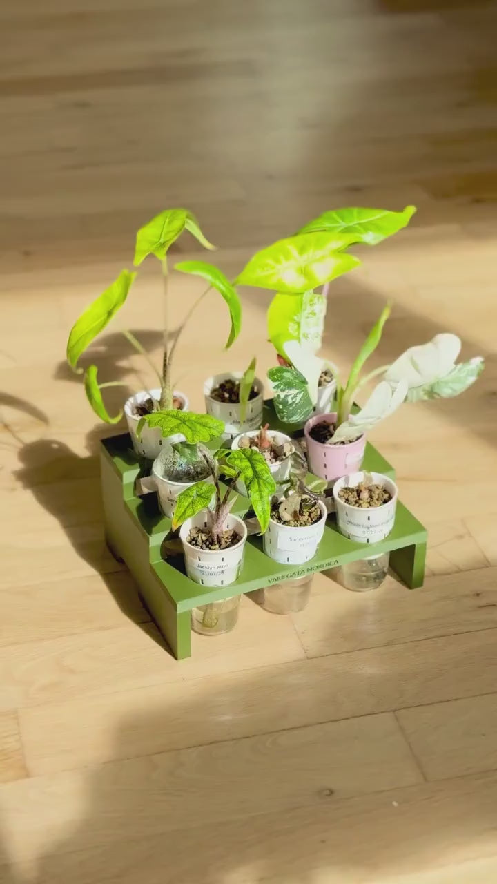 5-Tier Plant Tray STL File: 15-Pot Display, Support-Free 3D Print (Digital Download)