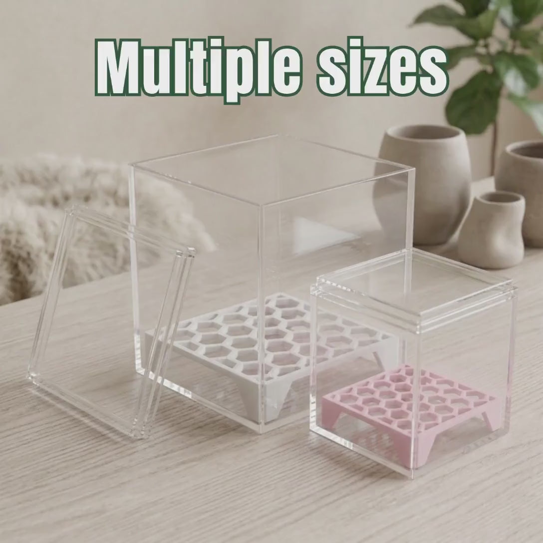 Square Corm Risers | Anti-Rot Propagation Trays for Alocasia Corms & Puddle Method