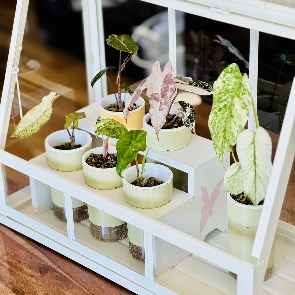 Display Tray for IKEA Milsbo & Åkerbar