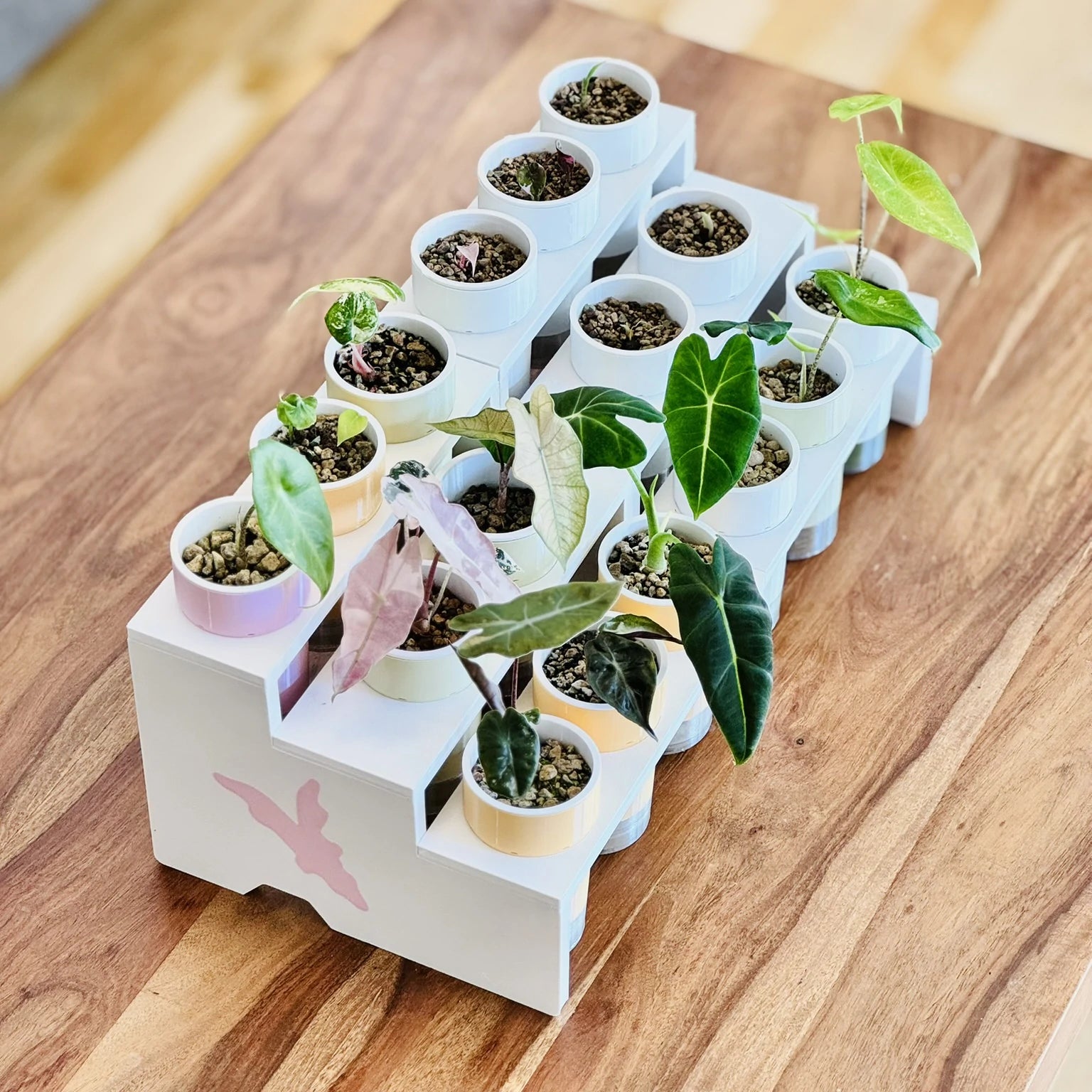 Display Tray for IKEA Milsbo & Åkerbar