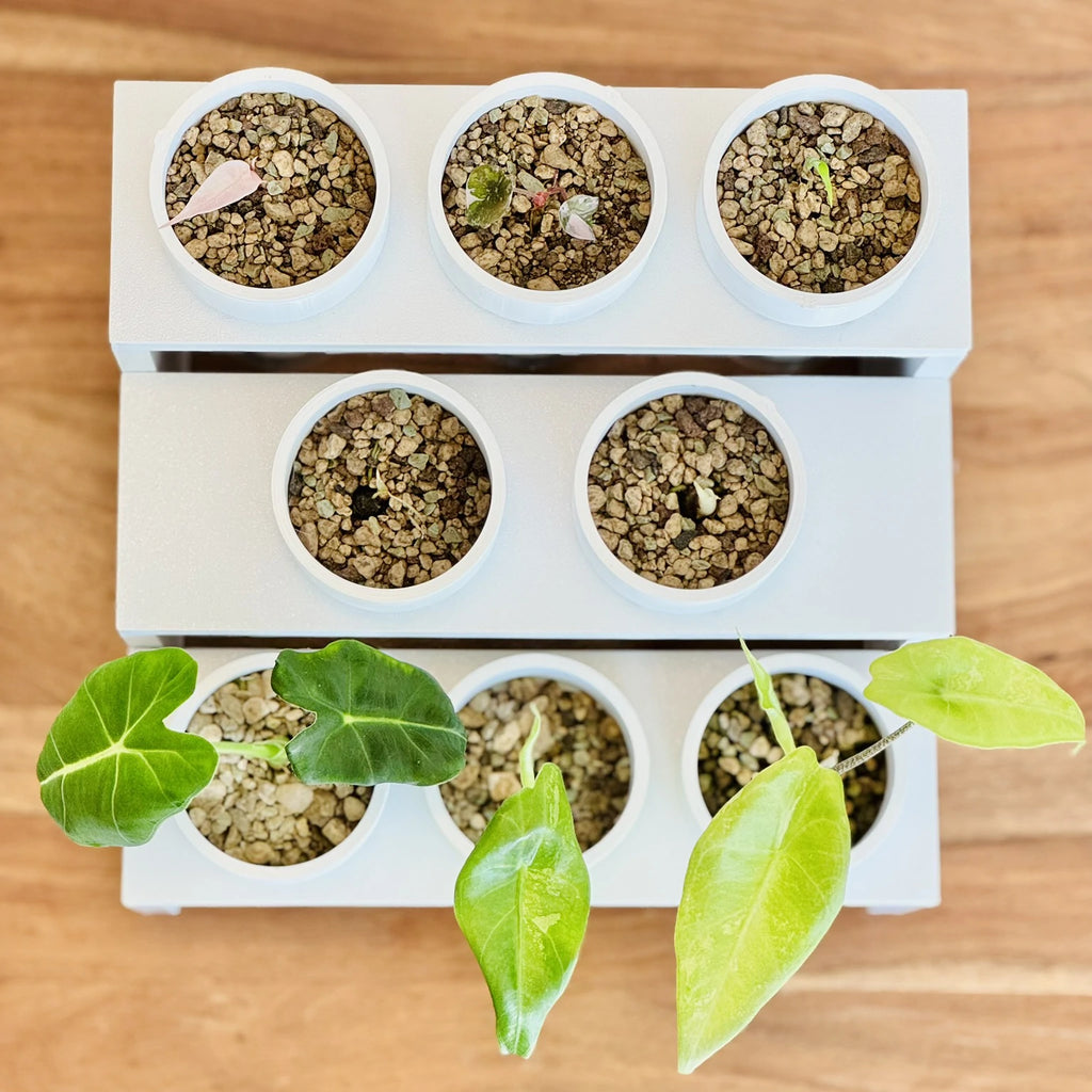 Display Tray for IKEA Milsbo & Åkerbar