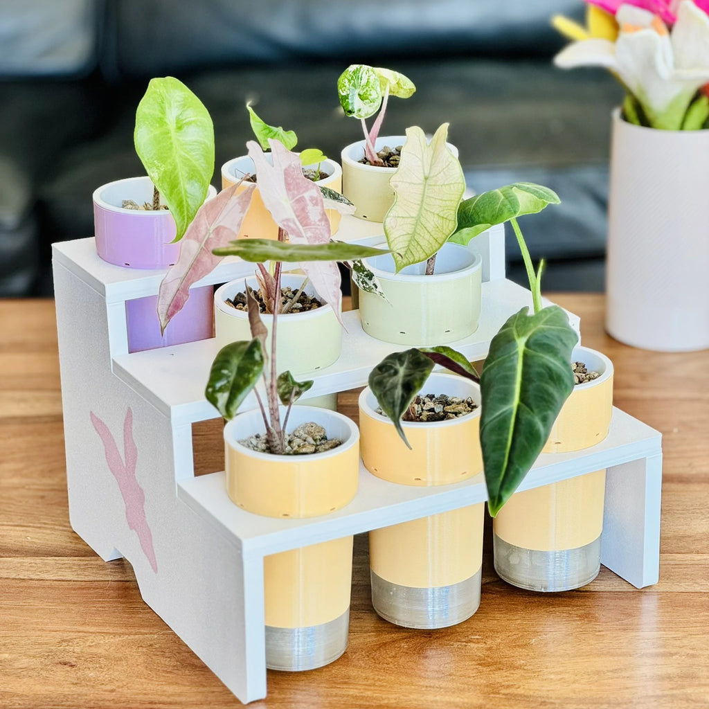 Self Watering Pot - Signature Kit