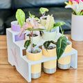 Display Tray for IKEA Milsbo & Åkerbar