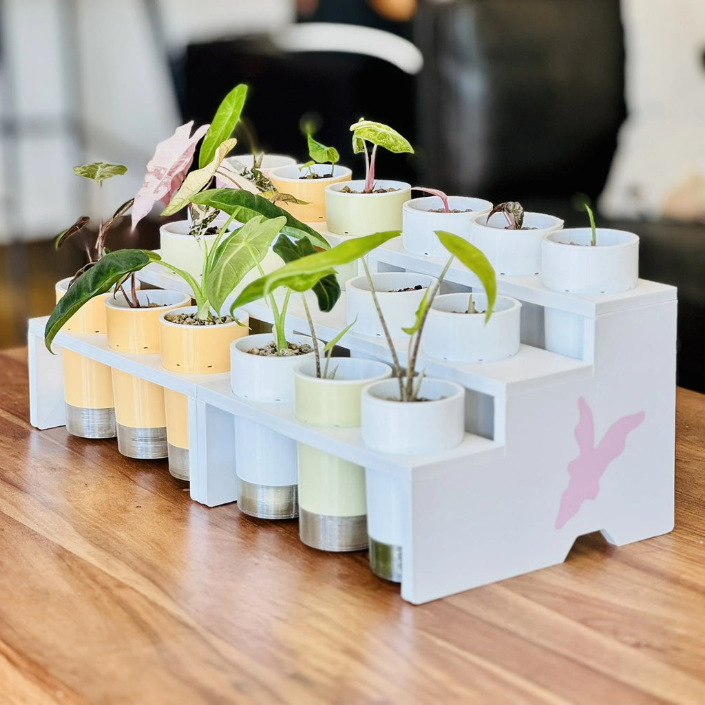 Display Tray for IKEA Milsbo & Åkerbar