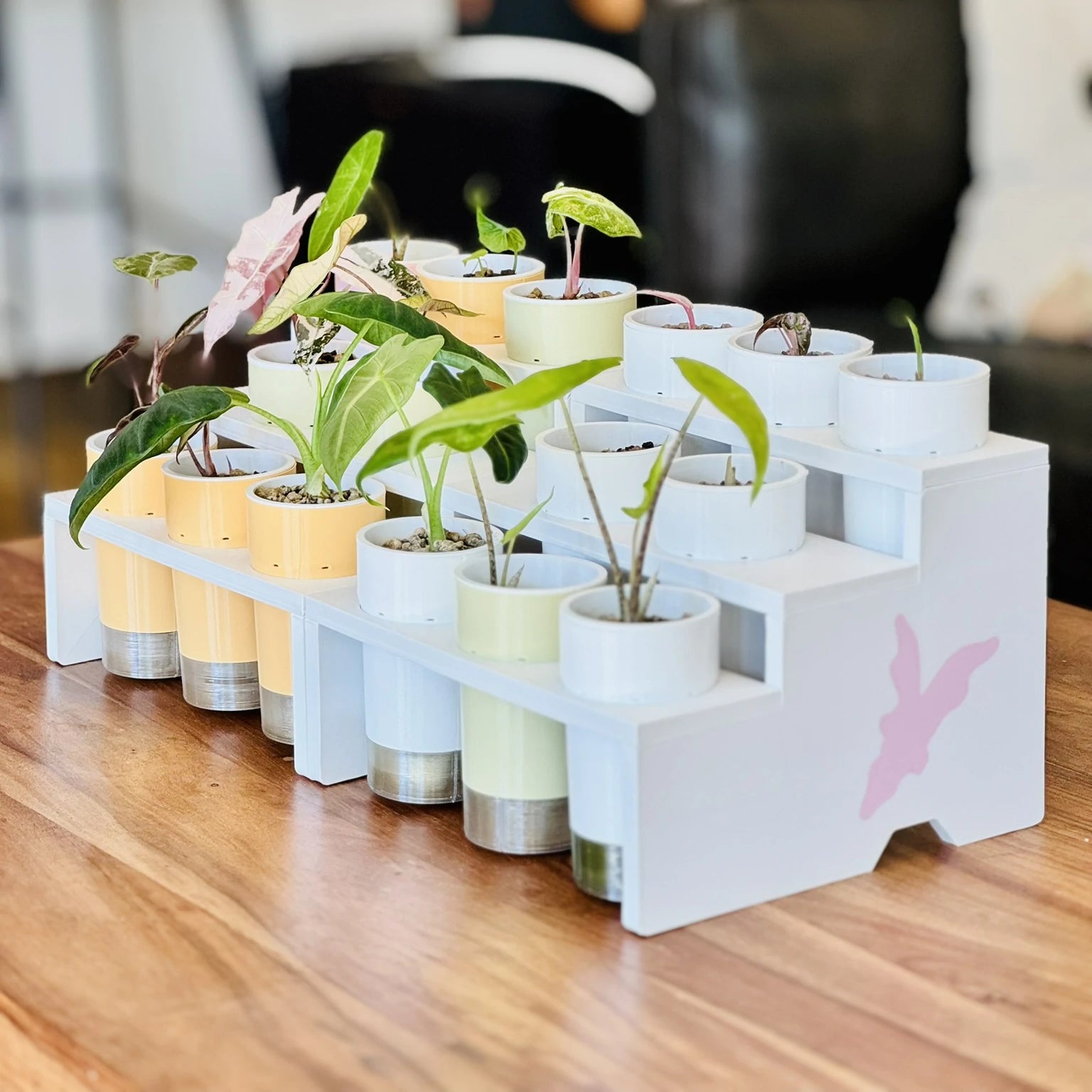 Display Tray for IKEA Milsbo & Åkerbar